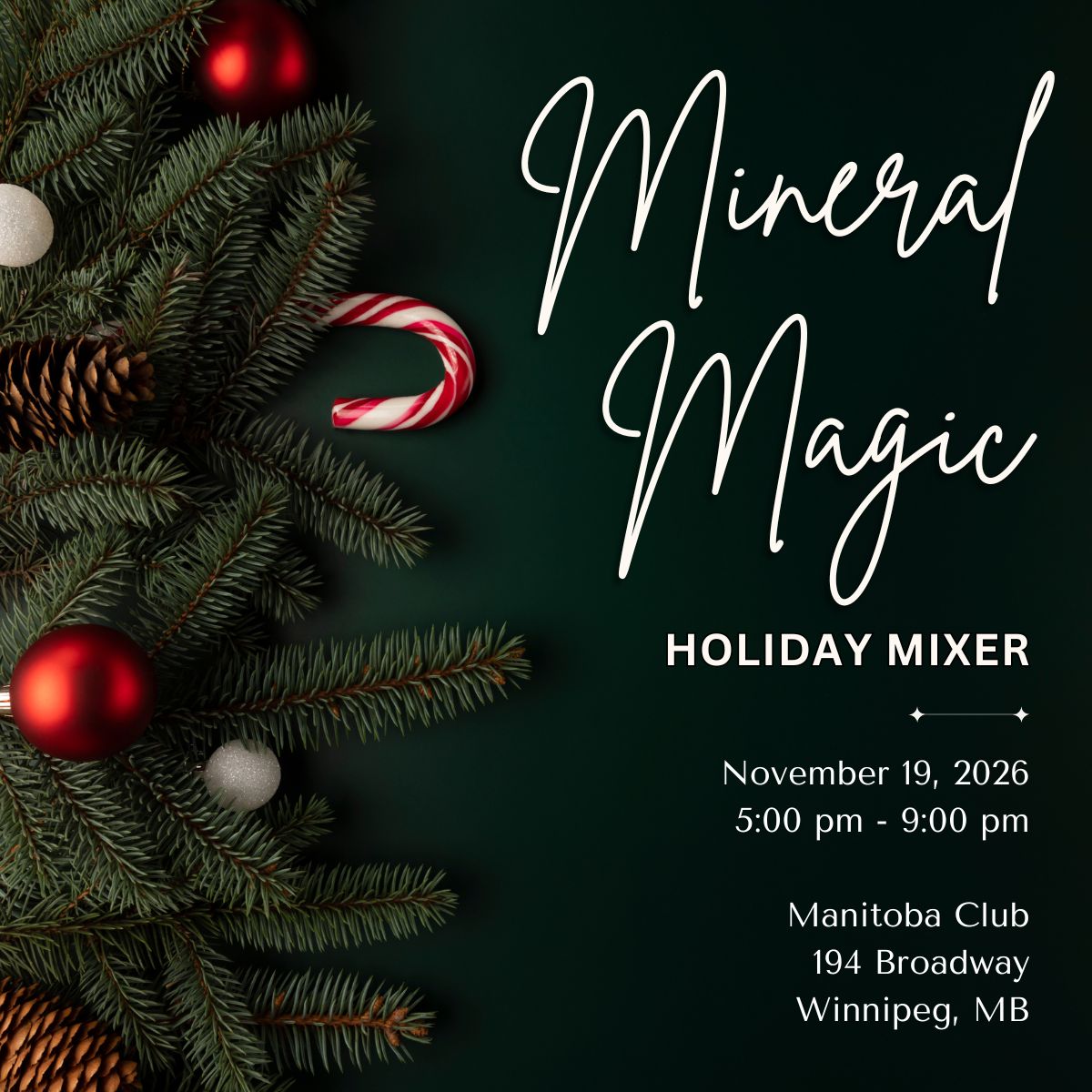 MPDA Mineral Magic Holiday Mixer